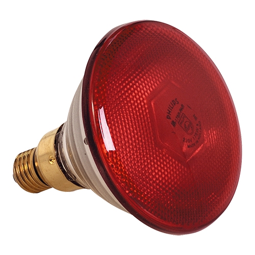 Philips Lamp los rood 175W