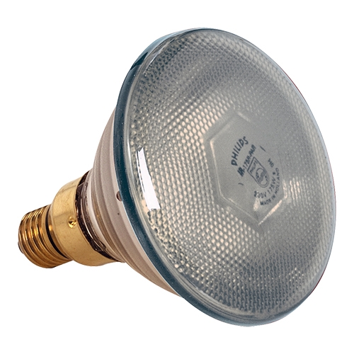 Philips Lamp los wit 175W