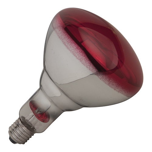 Philips Lamp los rood 250W
