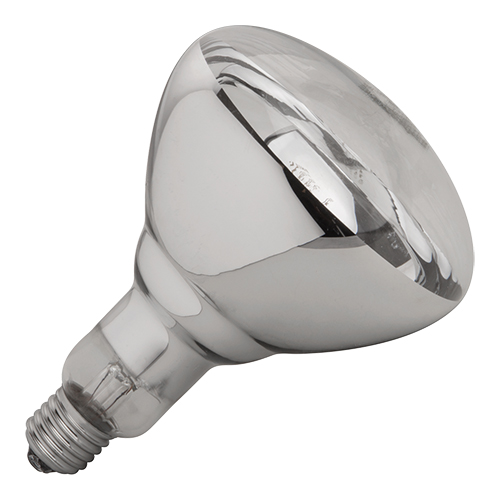Philips Lamp los wit 250W
